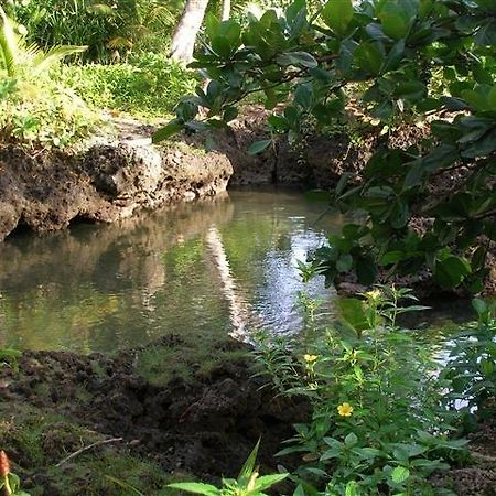 Piscina Natural On The Sea Cahuita Exterior photo