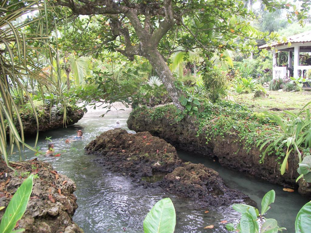Piscina Natural On The Sea Cahuita Exterior photo