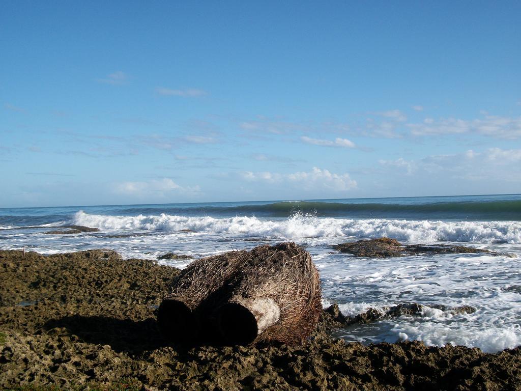 Piscina Natural On The Sea Cahuita Exterior photo